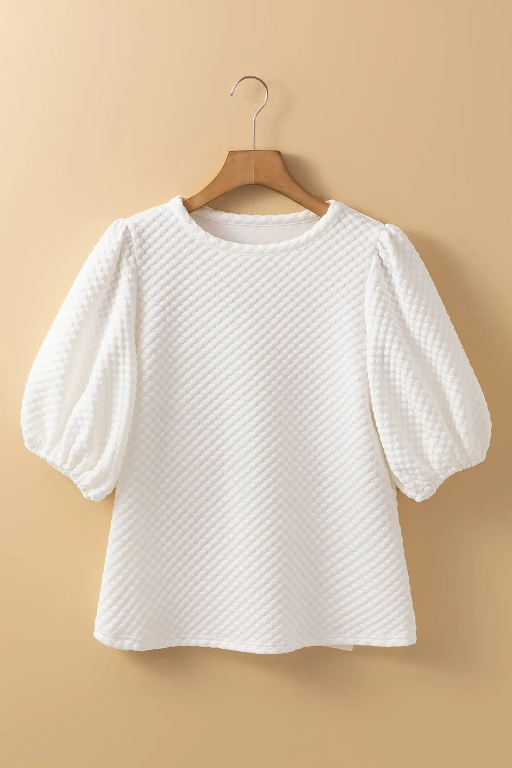 Phalaenopsis Solid Textured O Neck Puff Sleeve Blouse