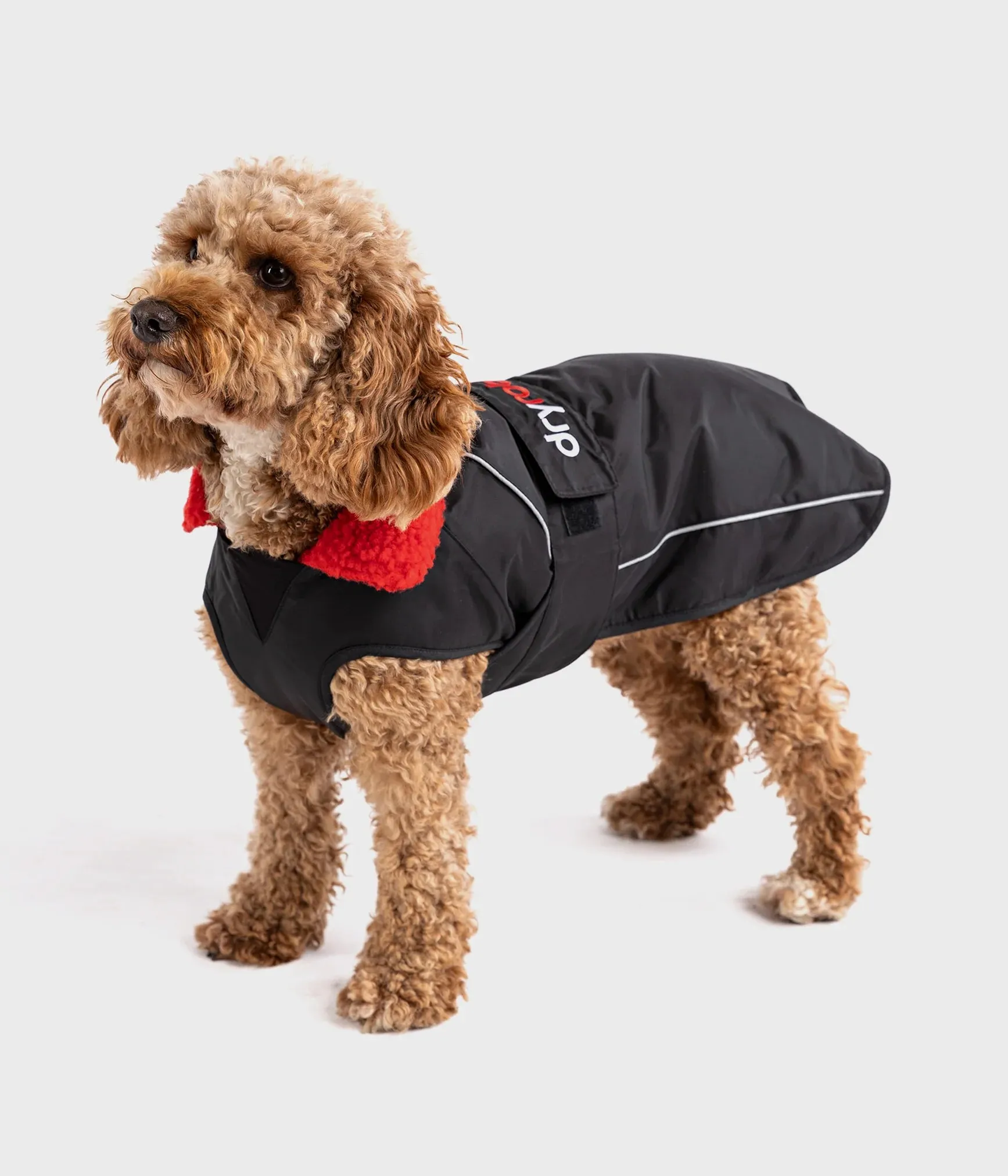 The Dryrobe Dog Jacket - waterproof and wind-resistant