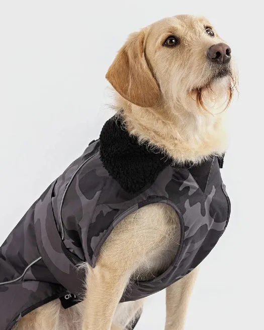 The Dryrobe Dog Jacket - waterproof and wind-resistant